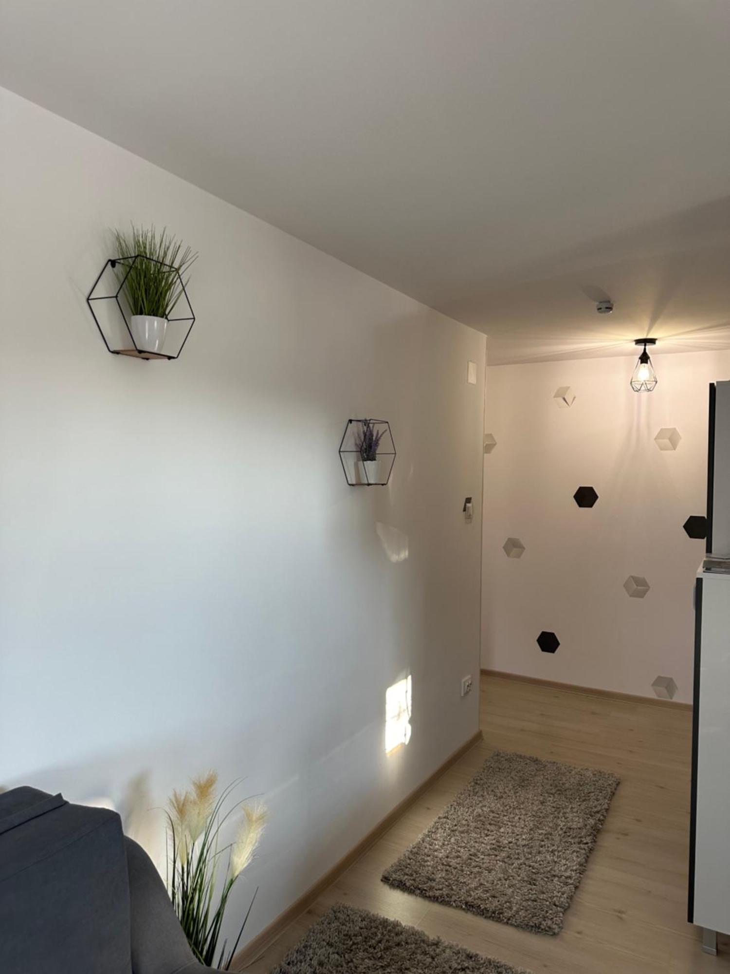 Jokai Apartments Nr7, Code Entry Sfântu-Gheorghe Exteriér fotografie
